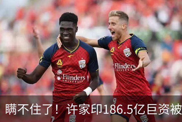瞒不住了！许家印186.5亿巨资被挖出，不是转给了丁玉梅，而是他